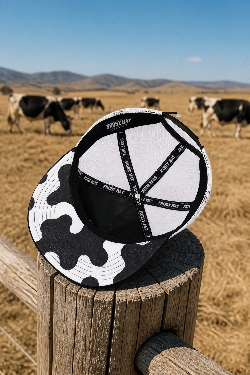 Frost Steer By Steer Hat Co | Premium Western Hat - MIKE'S CUSTOM BOLOS