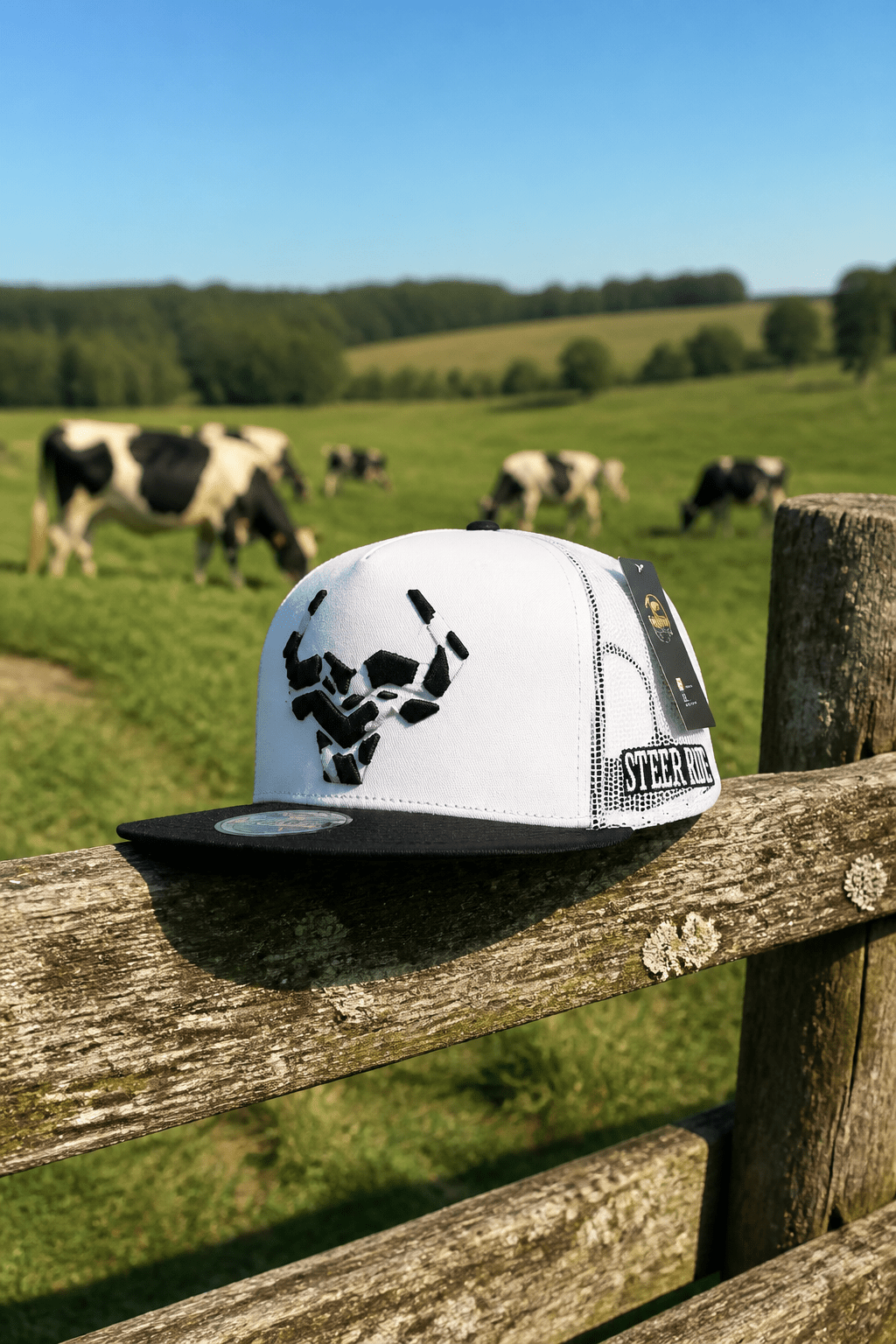Frost Steer By Steer Hat Co | Premium Western Hat - MIKE'S CUSTOM BOLOS