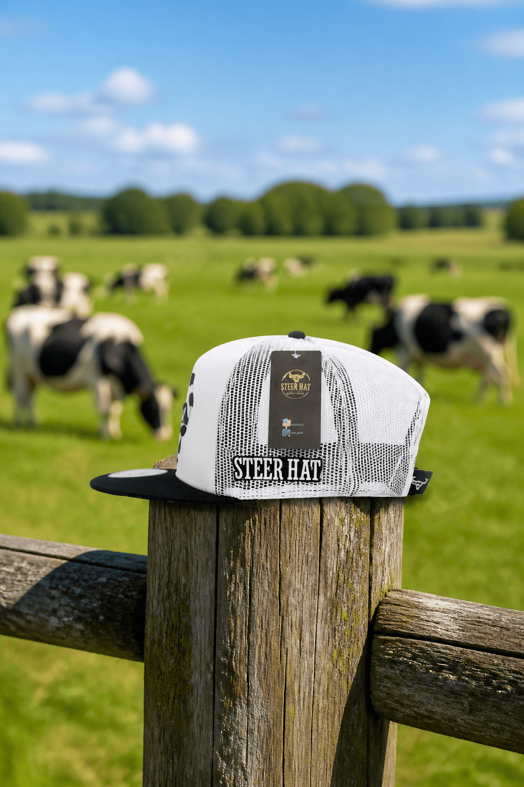 Frost Steer By Steer Hat Co | Premium Western Hat - MIKE'S CUSTOM BOLOS